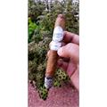 Aganorsa Leaf Signature Selection Belicoso 6 1/4 * 52