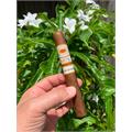 Romeo y Julieta 1875 Nicaragua Toro 6  * 50