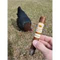Romeo y Julieta 1875 Nicaragua Toro 6  * 50