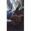 Crowned Heads Tennessee Waltz OG 5 1/2 * 52