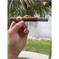 Arturo Fuente Casa Cuba Doble Dos 6 1/2 * 42