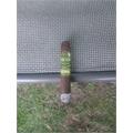 Southern Draw Cedrus Belicoso Fino LE 5 1/2 * 52