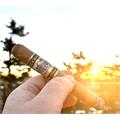 Perdomo Lot 23 Connecticut Toro 6  * 50