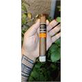 Aging Room Quattro Nicaragua Vibrato 6  * 54