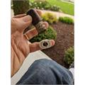 Ashton Aged Maduro No. 40 6  * 50