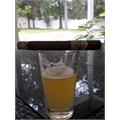 Ashton VSG Sorcerer 7  * 49