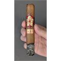 Room 101 The Farce Connecticut Robusto 5  * 50