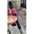 Flor De Oliva Maduro Torpedo 6 1/2 * 52