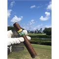 CAO Brazilia TAA Exclusive 2019 6 1/2 * 60