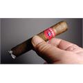 New Cuba Connecticut Robusto 5  * 50