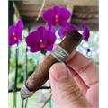 Edition One Cloud Hopper No. 53 5 1/4 * 42