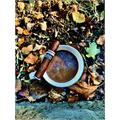 RoMa Craft Intemperance WR 1794 Hamilton 4  * 46