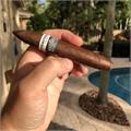 RoMa Craft Intemperance WR 1794 McFarlane 5  * 50