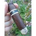 RoMa Craft CroMagnon Mastodon LE 4 1/2 * 60