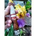 Rocky Patel Grand Reserve Robusto 5 1/2 * 50