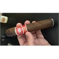 Romeo y Julieta Between the Acts Fresh Loc 5-Cigar Sampler