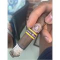Aladino Corojo Reserva Robusto 5  * 50
