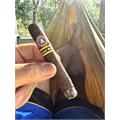 Aladino Corojo Reserva Robusto 5  * 50
