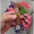 Aladino Corojo Reserva Robusto 5  * 50