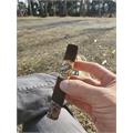 Laranja Reserva Escuro Robusto Extra 5 1/2 * 56