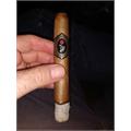 La Madrina Shade Toro 6 1/8 * 52