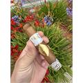 Cavalier Geneve White Series Elegante 4 1/2 * 52
