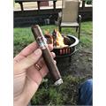 Viva La Vida Toro 6  * 54