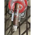 Viva La Vida Robusto 5  * 54