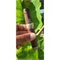 Diesel Whiskey Row Sherry Robusto 5  * 52