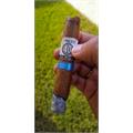 Alec Bradley Project 40 Gordo 6  * 60