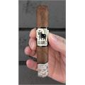 Crowned Heads Juarez OBS 4 3/4 * 52
