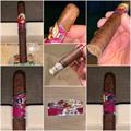 La Gloria Cubana Spanish Press Robusto 5 1/2 * 50