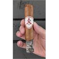 ADVentura the Explorer Robusto Grande 5  * 54