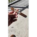 My Father La Promesa Toro 6  * 52