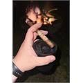 My Father La Promesa Lancero 7 1/2 * 38