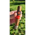 Villa Zamorano Reserva Robusto 5  * 50