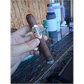 The American Toro 6  * 54
