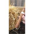 Illusione Epernay 10th Anniversary D Aosta 6  * 50