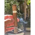 Illusione Epernay 10th Anniversary D Aosta 6  * 50