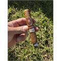 Arturo Fuente Don Carlos The Man Robusto 5 1/4 * 50