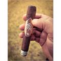 Rocky Patel A.L.R. Second Edition Robusto 5 1/2 * 52