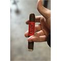Blackbird Crow Robusto 5  * 50