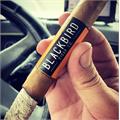 Blackbird Jackdaw Gran Toro 6  * 54