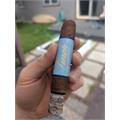 Blackbird Finch Robusto 5  * 50