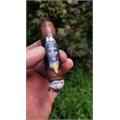Alec & Bradley Gatekeeper Robusto 5  * 50