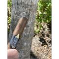 Alec & Bradley Gatekeeper Gordo 6  * 60
