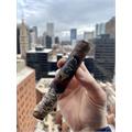 Alec & Bradley Gatekeeper Gordo 6  * 60