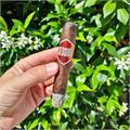 CAO Session Garage 5 1/4 * 54