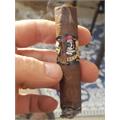 Deadwood Fat Bottom Betty Toro 6  * 50