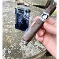 Acid 20 Robusto 5  * 50
